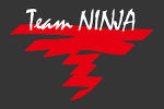 Team Ninja