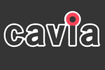 Cavia