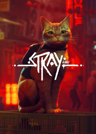Stray