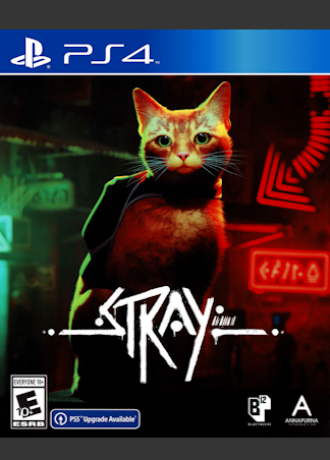Stray